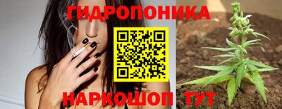 прущие крисы Гагарин