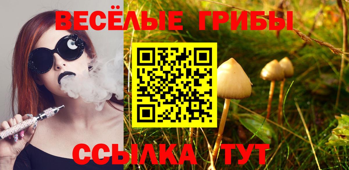 Псилоцибиновые грибы Psilocybine cubensis  Вход с VPN  Галлюциногенные грибы ЛСД  Ковров 